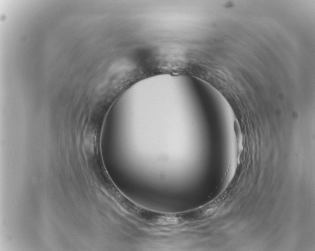 X0000086990227200704231853