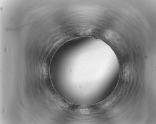 X0000086990228200704231853