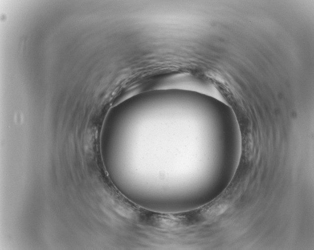 X0000086990229200704231853