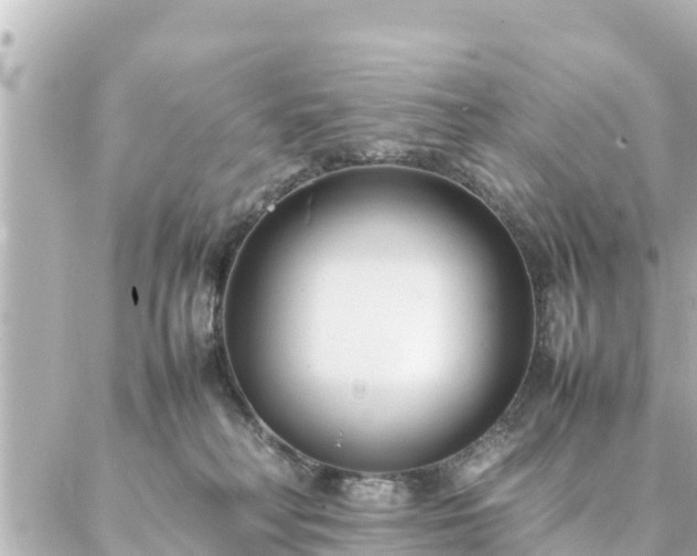 X0000086990230200704231853