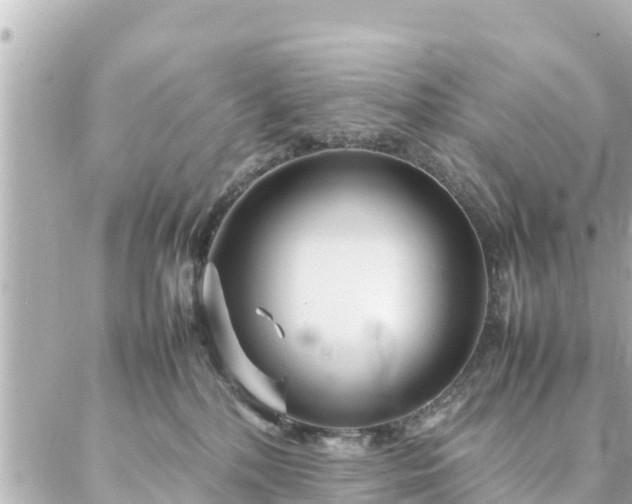 X0000086990232200704231853