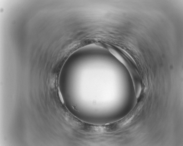 X0000086990233200704231853