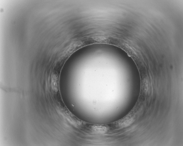 X0000086990234200704231853