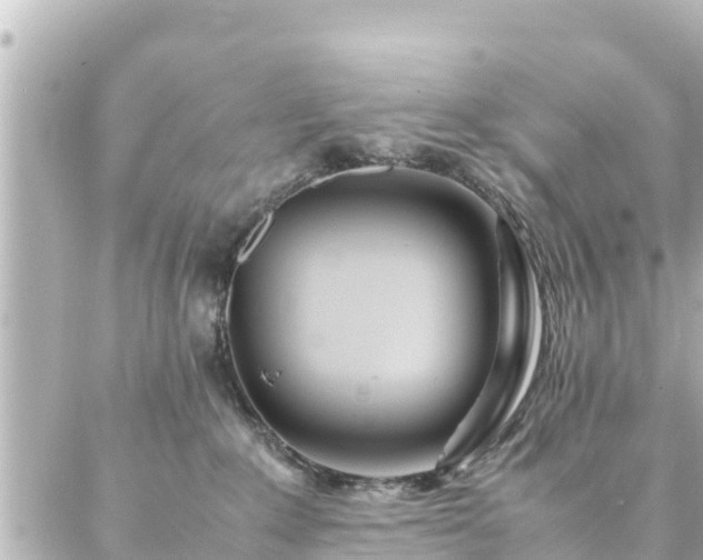 X0000086990235200704231853