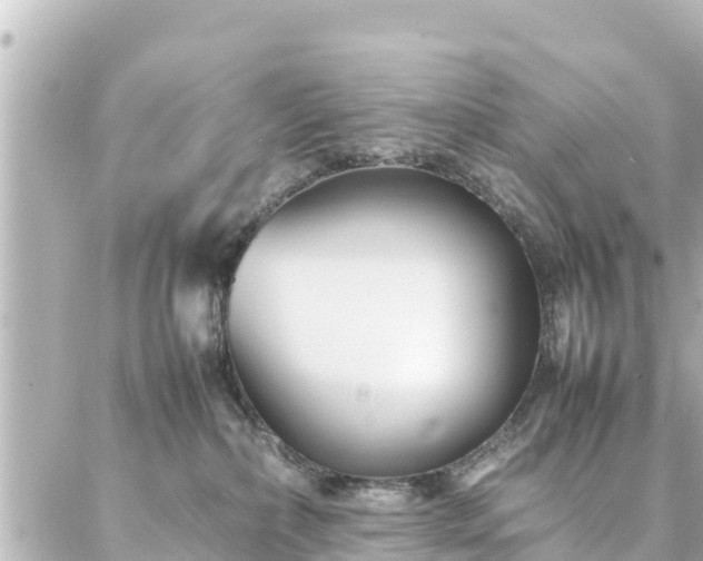 X0000086990236200704231853