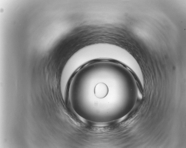 X0000086990239200704231852