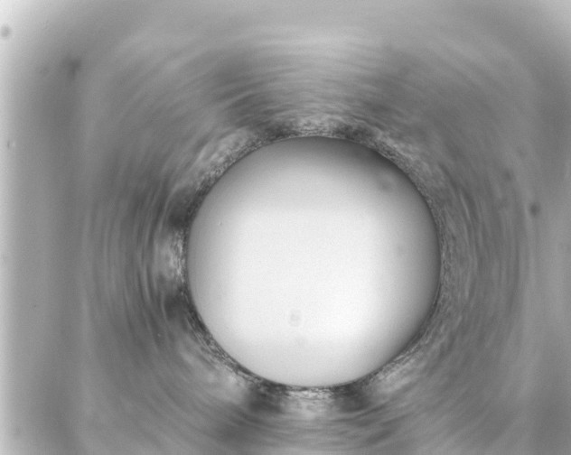 X0000086990240200704231852