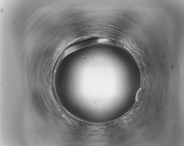 X0000086990241200704231852