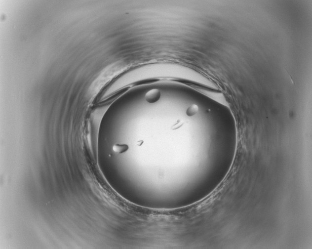 X0000086990242200704231852