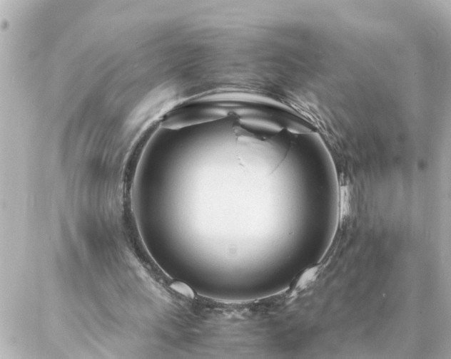 X0000086990243200704231852