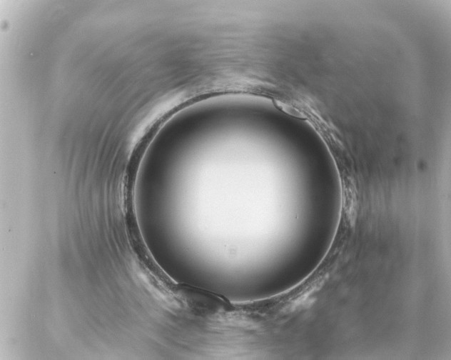 X0000086990244200704231852