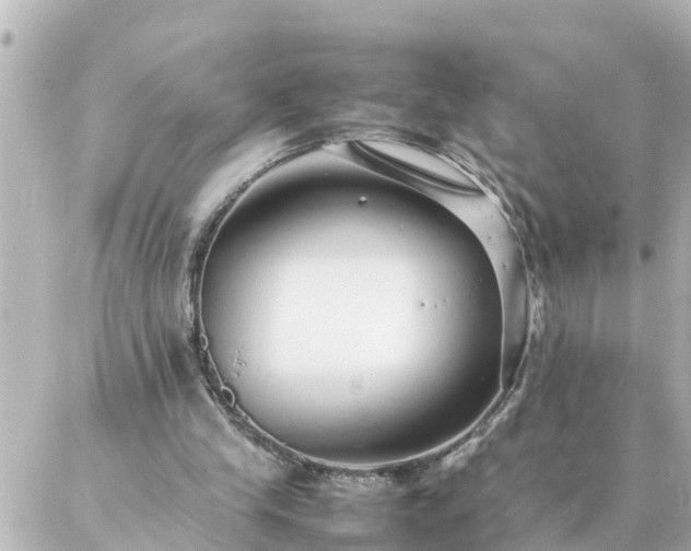 X0000086990245200704231852