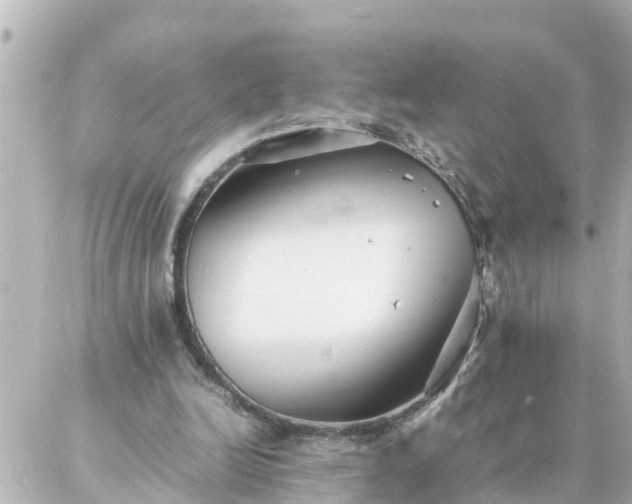 X0000086990246200704231852