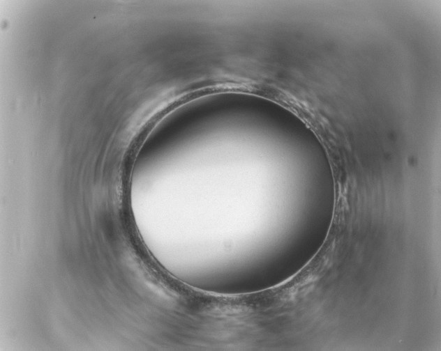 X0000086990247200704231852