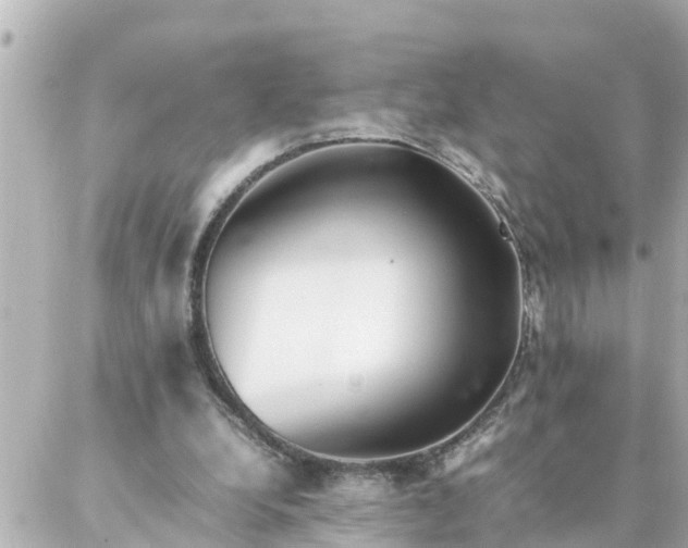 X0000086990248200704231852