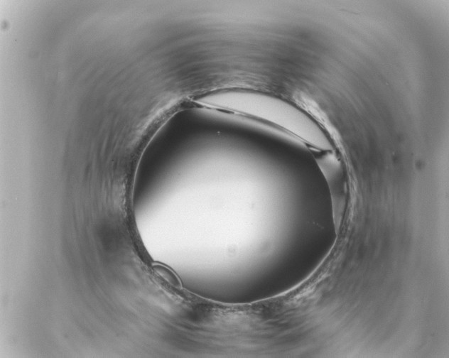 X0000086990249200704231852