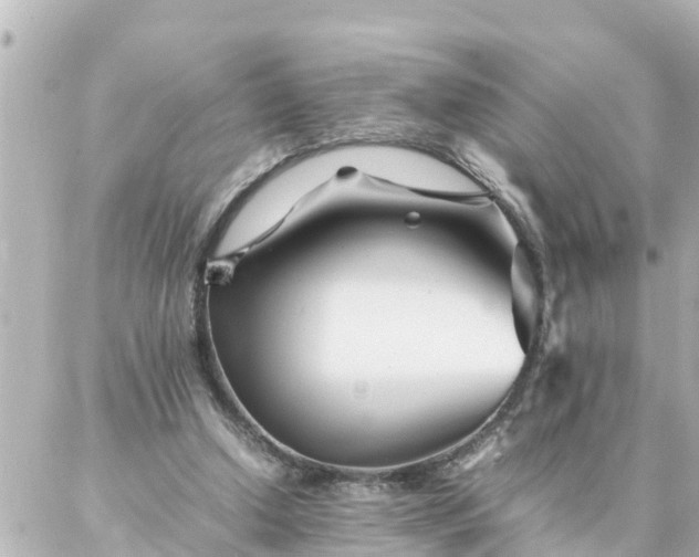 X0000086990250200704231852