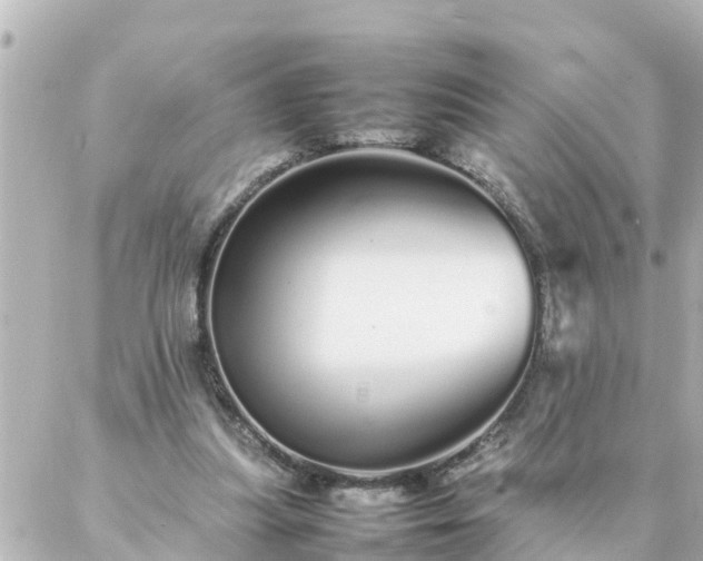 X0000086990251200704231852