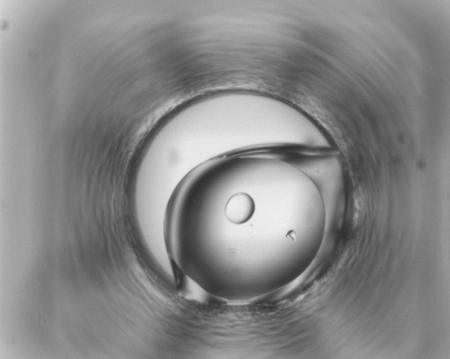 X0000086990252200704231852