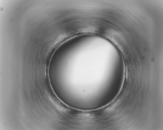 X0000086990253200704231852