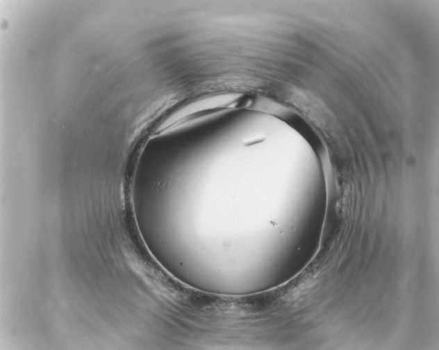 X0000086990254200704231852