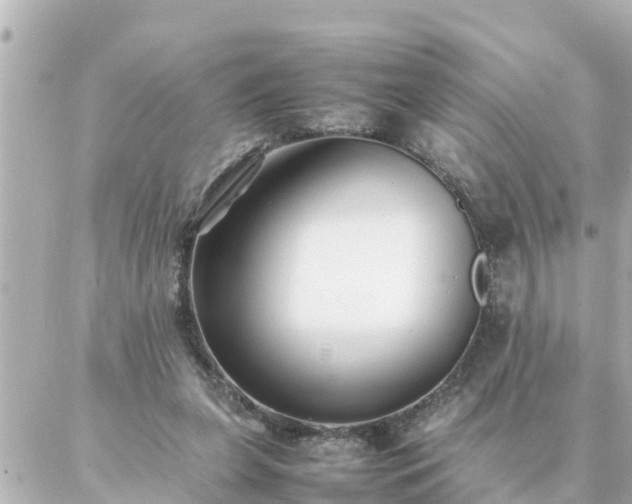 X0000086990255200704231852