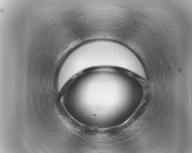 X0000086990256200704231852