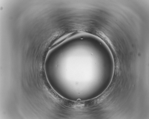 X0000086990257200704231852