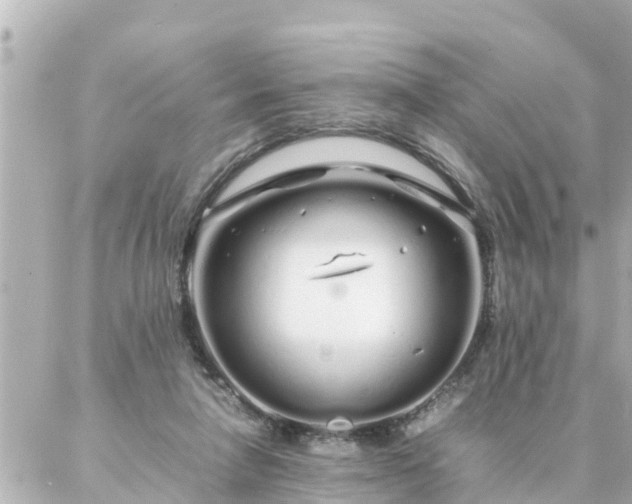 X0000086990258200704231852