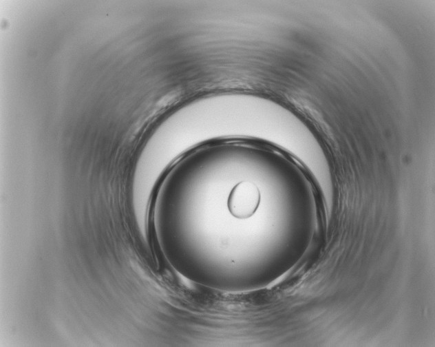 X0000086990260200704231852