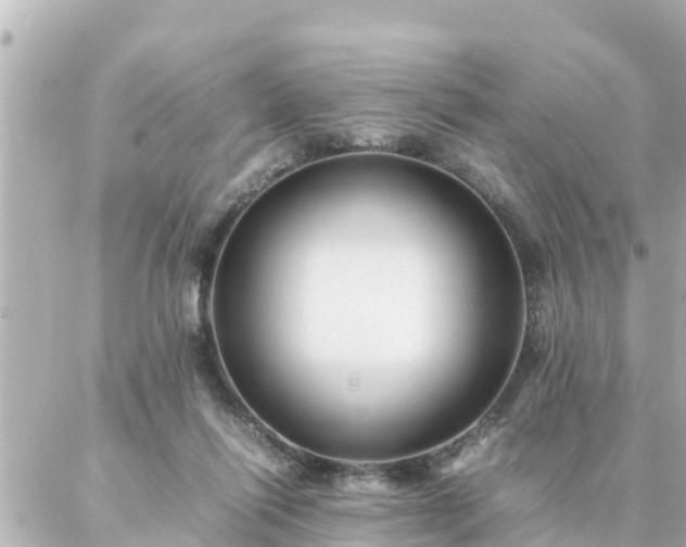 X0000086990262200704231852