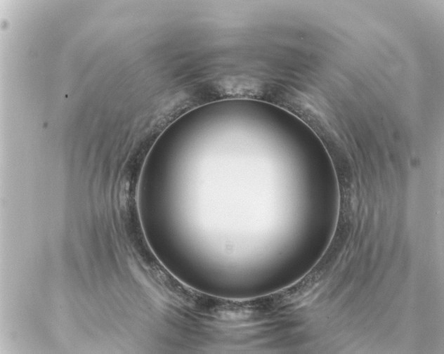 X0000086990263200704231852