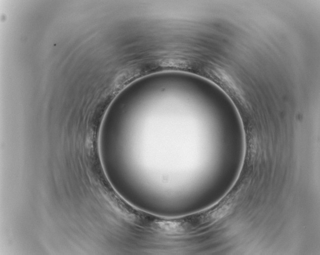 X0000086990265200704231852