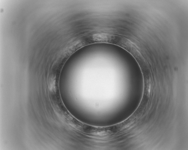 X0000086990267200704231852