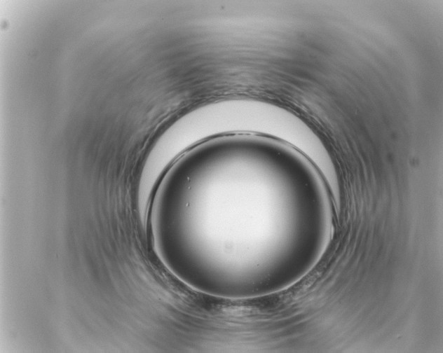 X0000086990268200704231852