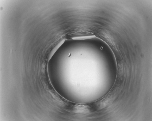 X0000086990269200704231852