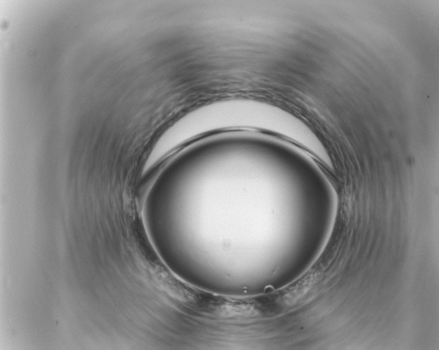 X0000086990270200704231852