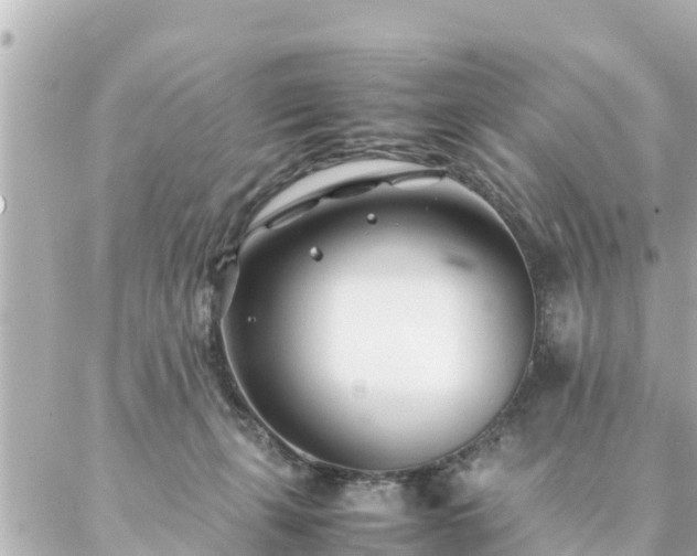 X0000086990271200704231852