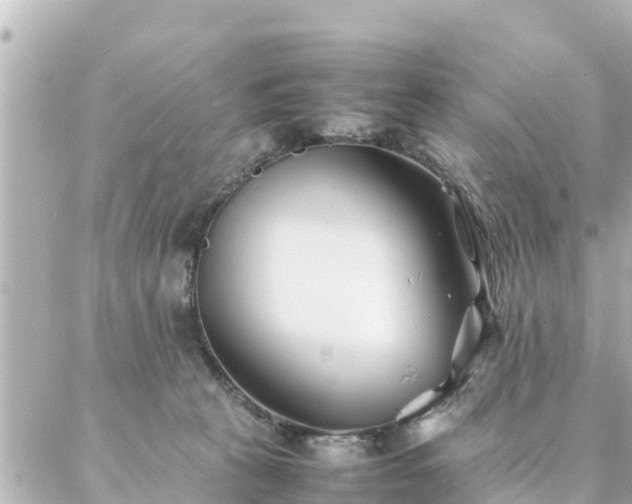 X0000086990273200704231852