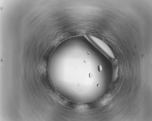 X0000086990274200704231852