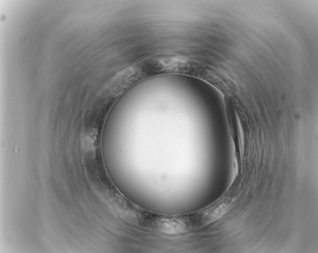 X0000086990275200704231852