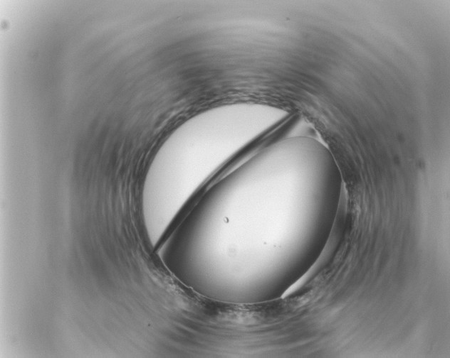 X0000086990276200704231852