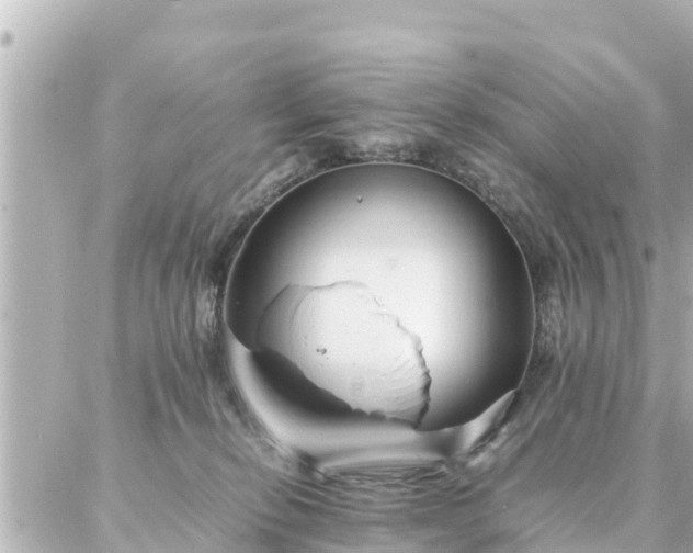 X0000086990278200704231852