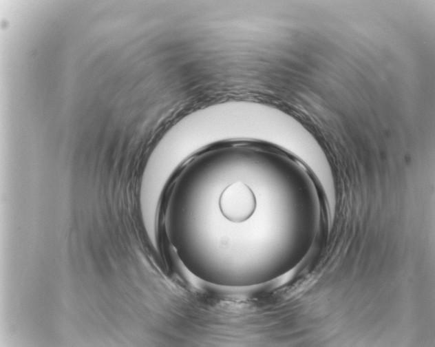 X0000086990280200704231852