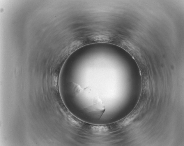 X0000086990281200704231852