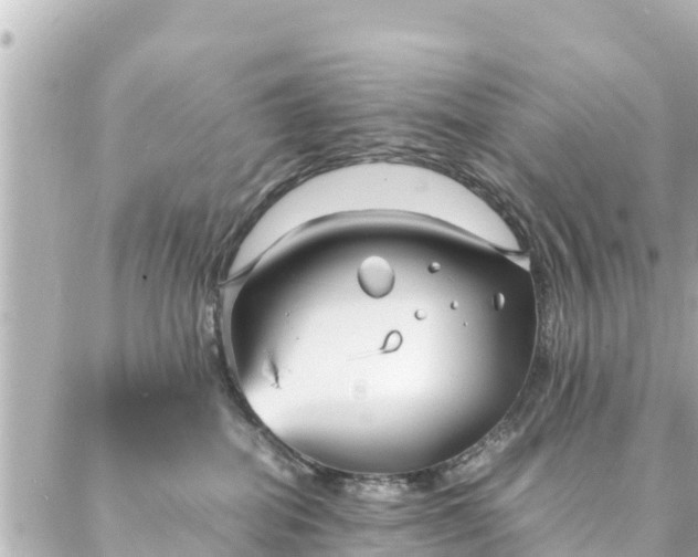 X0000086990282200704231852