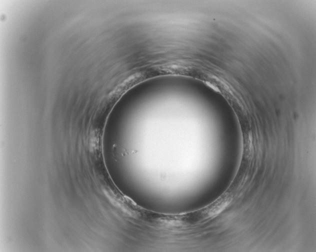 X0000086990284200704231852