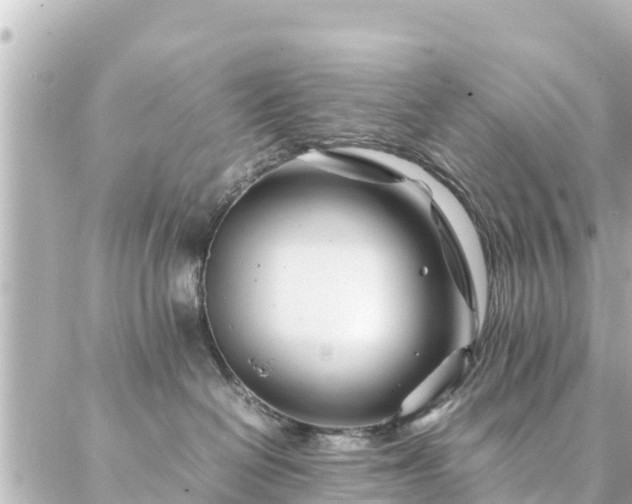 X0000086990286200704231852