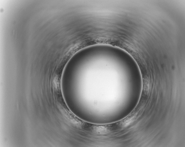 X0000086990287200704231852