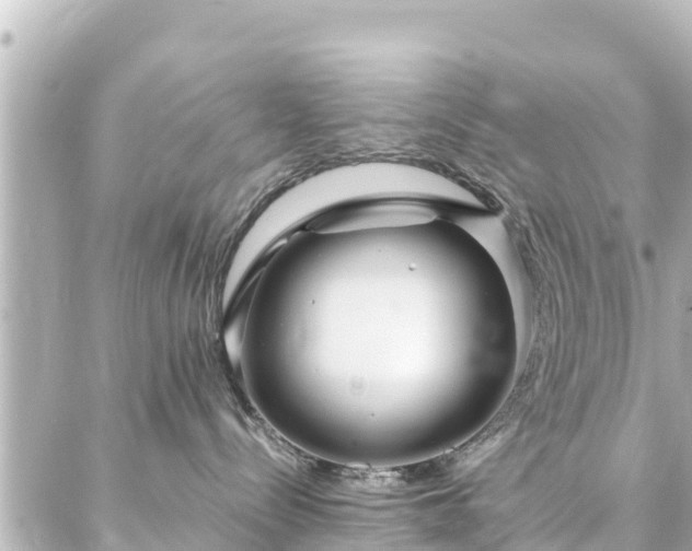 X0000086990288200704231852